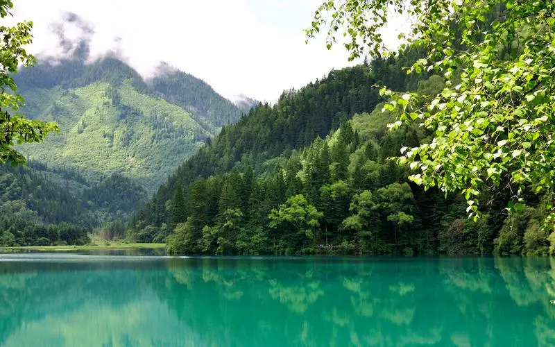高效高性能